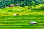 一款讓玩家深度體驗(yàn)農(nóng)業(yè)種植樂趣的免費(fèi)農(nóng)場(chǎng)種菜游戲，耕作樂土，輕松有趣的農(nóng)業(yè)種植游戲