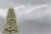 桌面圣誕樹(shù)插件網(wǎng)站，點(diǎn)亮冬日溫馨，增添節(jié)日氣氛
