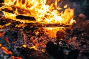 馬上玩免費(fèi)游戲的歡樂源泉，立即享樂海量免費(fèi)游戲等待你來發(fā)掘!