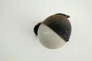 解讀夢(mèng)境中的鱉，象征意義與心理暗示