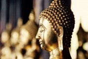 自由冷鋒游戲的神秘面紗——探秘其背后的游戲內(nèi)涵與魅力，自由冷鋒，揭示隱藏在游戲背后的深度內(nèi)涵與魅力