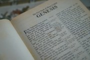 輕松入門，教你如何在論壇注冊(cè)賬號(hào)，論壇新手指南，輕松注冊(cè)賬號(hào)全攻略