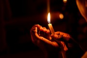燃燒的生命——螢火蟲（寓言故事），螢火蟲的奧秘