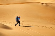 夢中的書香之旅，夢中的書香之旅，探索知識的奇幻之旅