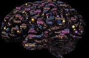 三國類免費游戲的探索與啟示，三國志系列，策略、戰(zhàn)爭與歷史深度解密