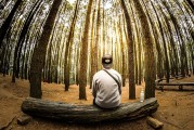 夢(mèng)到親人離開，心靈的觸動(dòng)與思考