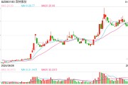 機(jī)器人概念連續(xù)反彈，科創(chuàng)50指數(shù)半日漲0.45%