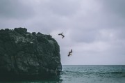 夢(mèng)游人生之跡——我夢(mèng)到自己踩到狗屎的啟示