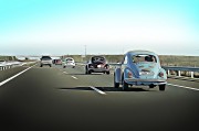 賽車之夢，速度與激情的交織，賽車之夢，速度與激情的交織