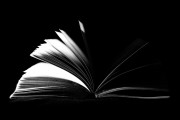 探討PS人像插件網(wǎng)站，提升攝影創(chuàng)作能力的新工具，從新手到專業(yè)，探索PS人像插件網(wǎng)站提升攝影創(chuàng)作能力的新工具