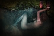 野貓之夢，神秘、自由的象征，野貓之夢，神秘自由的象征