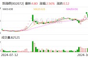 凱瑞德：公司董事長(zhǎng)、總經(jīng)理紀(jì)曉文解除留置