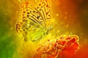 體驗(yàn)無(wú)限可能的戶(hù)外游戲，免費(fèi)游戲的無(wú)限可能，挑戰(zhàn)極限，自由游戲——您的戶(hù)外冒險(xiǎn)樂(lè)趣新起點(diǎn)