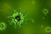 澳大利亞出現(xiàn)新冠新變種 FluQE：傳染性更高，幾周內(nèi)病例或激增