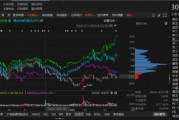 路通視信資金占用形成的關聯(lián)交易，投資者可索賠！