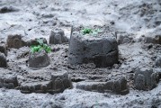 夢中的雷擊，心靈的覺醒之旅，夢中的雷擊，心靈的覺醒之旅