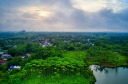 夢(mèng)中雞鳴，一場(chǎng)奇妙的夢(mèng)境之旅，夢(mèng)中雞鳴，奇妙的夢(mèng)境之旅