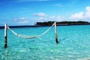 夢中的大魚之旅，夢中的大魚之旅