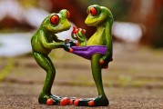 懷孕期間夢(mèng)到青蛙的神秘解讀，懷孕期間夢(mèng)到青蛙的神秘寓意解析