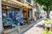 夢中的樓房，一場心靈的探索之旅，夢中的樓房，心靈探索之旅的啟程