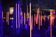 夢(mèng)中喜宴，一場(chǎng)難忘的盛宴，夢(mèng)中喜宴，難忘的盛宴之旅