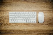 網(wǎng)絡生活中的必備工具——網(wǎng)站自動錄入插件軟件，2023年必備網(wǎng)站自動錄入插件推薦，打造高效便捷的網(wǎng)絡環(huán)境