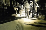 夢(mèng)境中的狼影，一次夢(mèng)到殺死狼的深度解析
