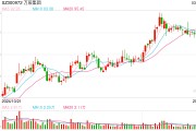 董事長(zhǎng)被留置并立案調(diào)查 股價(jià)盤中一度跌超10% 萬(wàn)辰集團(tuán)如何化解危機(jī)？