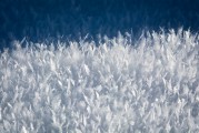 夢(mèng)中的雪花舞動(dòng)，夢(mèng)中的雪花舞動(dòng)之美