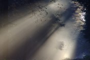 夢(mèng)中情愫，解析夢(mèng)中有人喜歡自己的心理奧秘，解析夢(mèng)中有人喜歡自己的心理奧秘，夢(mèng)中情愫的探索