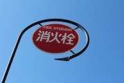 無廣告、無內購、無充值的跑酷游戲大放送！為愛發(fā)電