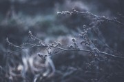 體驗自由無拘無束的游戲世界——免費主機游戲的魅力解析，如何領(lǐng)略自由無拘無束的游戲世界，從免費主機游戲的特性解析