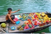 夢中的捉魚之旅，未果的期待，夢中的捉魚之旅，未果的期待之旅