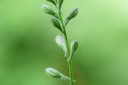 搭建菠菜網(wǎng)站的重要性與步驟，重要性，為何搭建菠菜網(wǎng)站？步驟指南