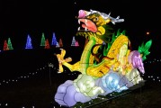 保衛(wèi)蘿卜游戲中，免費并不是一種誘惑，保衛(wèi)蘿卜，游戲中的付費意識與策略分析