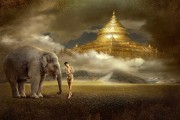 夢(mèng)魘中的猛虎追擊——我的夢(mèng)境探索，夢(mèng)魘中的猛虎追擊，夢(mèng)境的神秘探索