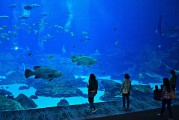 日照市是中國(guó)山東省的一個(gè)海濱城市，擁有豐富的旅游資源和文化底蘊(yùn)。隨著互聯(lián)網(wǎng)技術(shù)的發(fā)展，日照的旅游業(yè)也在不斷壯大。日照網(wǎng)站優(yōu)化的重要性不言而喻。，日照，中國(guó)山東省海濱城市的旅游資源與文化魅力