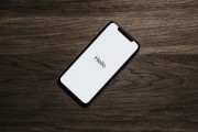 花旗：下調(diào)蘋(píng)果iPhone 9月和12月當(dāng)季銷(xiāo)量預(yù)期