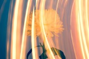 CCG（Collective Content Game），一個(gè)讓玩家盡情探索的免費(fèi)游戲世界，自由探索，無(wú)拘無(wú)束！體驗(yàn)CCG的魅力，免費(fèi)游戲世界之旅