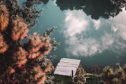 飛翔之夢(mèng)，我在天際的奇幻之旅，飛翔之夢(mèng)，我在天際的奇幻之旅