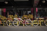 "車庫禁停新能源車"？廣東省博物館回應(yīng)