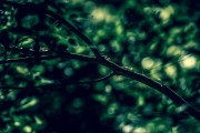 夢(mèng)到鼻子壞了，一次心靈的覺醒