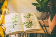 游戲荒，推薦一些免費(fèi)的游戲來填補(bǔ)你的空閑時(shí)間，免費(fèi)游戲推薦，讓生活更加豐富多彩