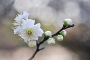 夢(mèng)中懷抱的溫柔，夢(mèng)中懷抱的溫柔，情感的溫柔之旅