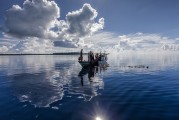 夢(mèng)中的魚海之旅，夢(mèng)游魚海，一場(chǎng)奇幻的探險(xiǎn)之旅