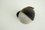 夢境中的蛆——探索內(nèi)心深處的象征意義，夢境中的蛆，探索內(nèi)心深處的象征意義