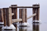 板巖插件官方網(wǎng)站的揭秘之旅，揭開(kāi)板巖插件官方網(wǎng)站的秘密面紗，深度揭秘與實(shí)用技巧