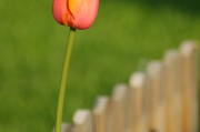 有錢(qián)花下載安裝_有錢(qián)花app下載安裝