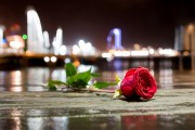夢(mèng)中的情感紐帶——與男朋友的朋友的奇妙邂逅，夢(mèng)中的情感紐帶，與男朋友的朋友的奇妙邂逅的回憶與體驗(yàn)