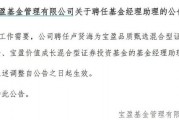 罕見(jiàn)！寶盈基金詭異的基金經(jīng)理變動(dòng)！